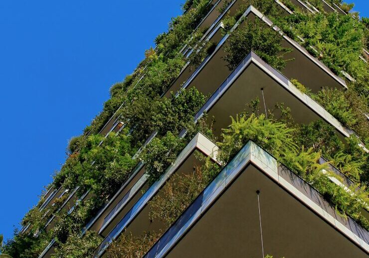 A building with many green plants growing on it.